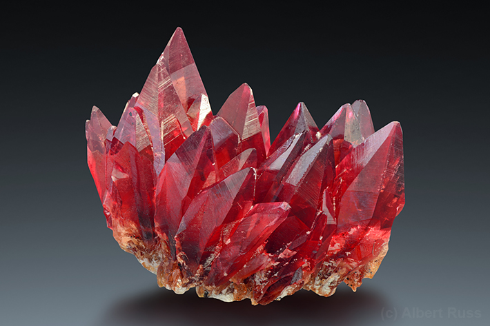 Blood red scalenohedrons of rhodochrosite from Kalahari desert, South Africa