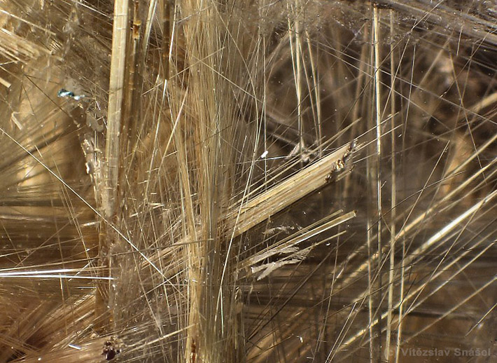 Rutilated quartz with needle shaped crystals of yellow rutile (sagenite) from Minas Gerais, Brazil