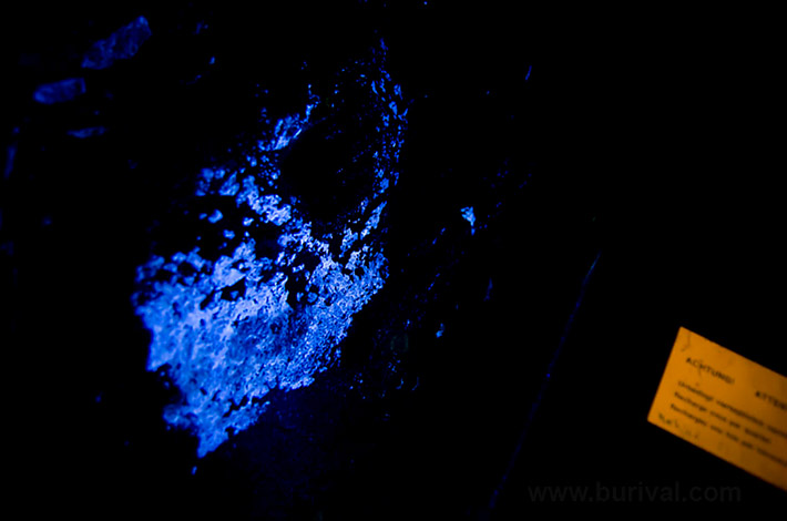 Bright fluorescence of scheelite mineral in shortvawe UV light