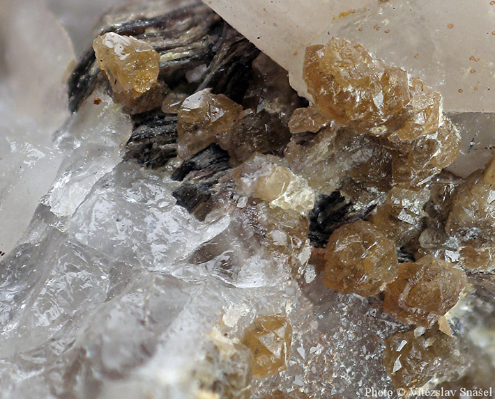 Scheelite crystals on quartz from Cinovec, Czech Republic