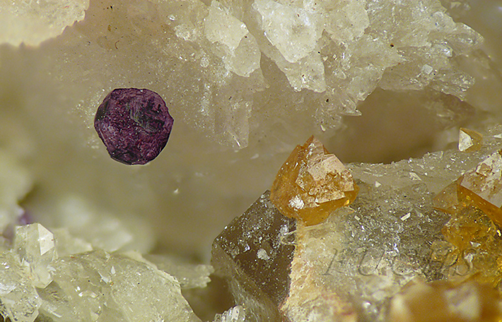 Yellow scheelite and purple fluorite on quartz from Cinovec, Czech Republic