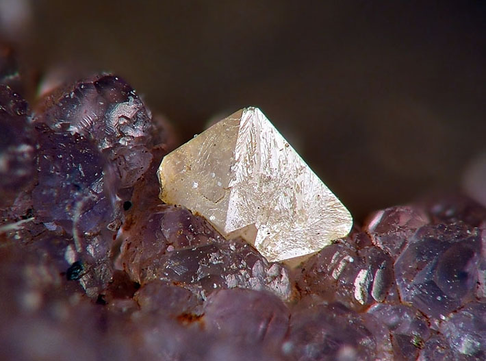Scheelite crystal on purple fluorite from Krupka, Czech Republic