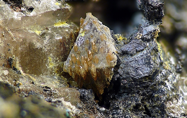 Stolzite on scheelite crystal from Cinovec, Czech Republic