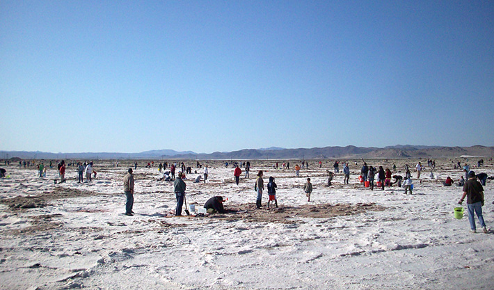 Searles Dry Lake near Trona, California is a non-marine evaporite deposit with various slats which formed in the desert