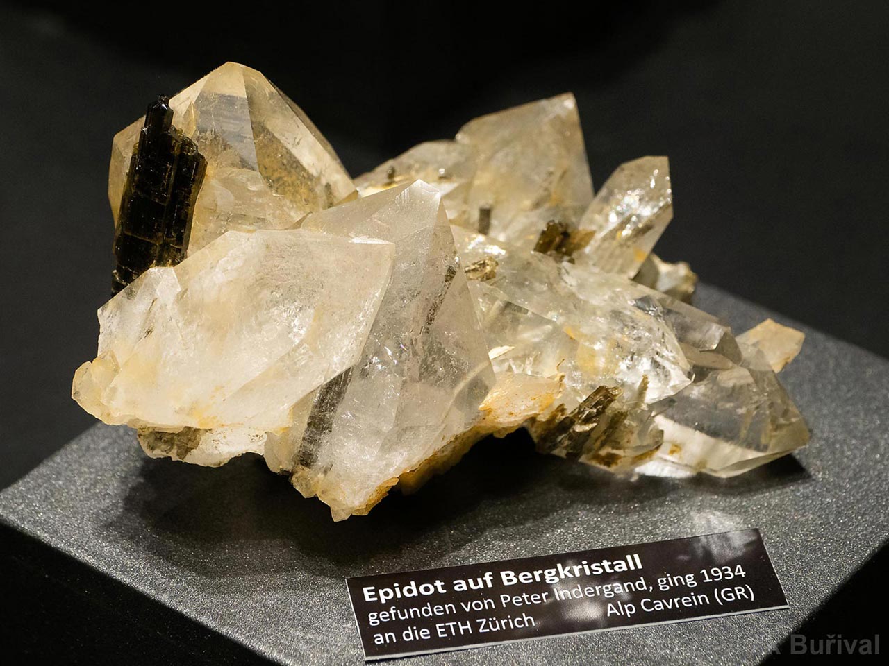 Epidote crystals on quartz from Alp Cavrein, Switzerland
