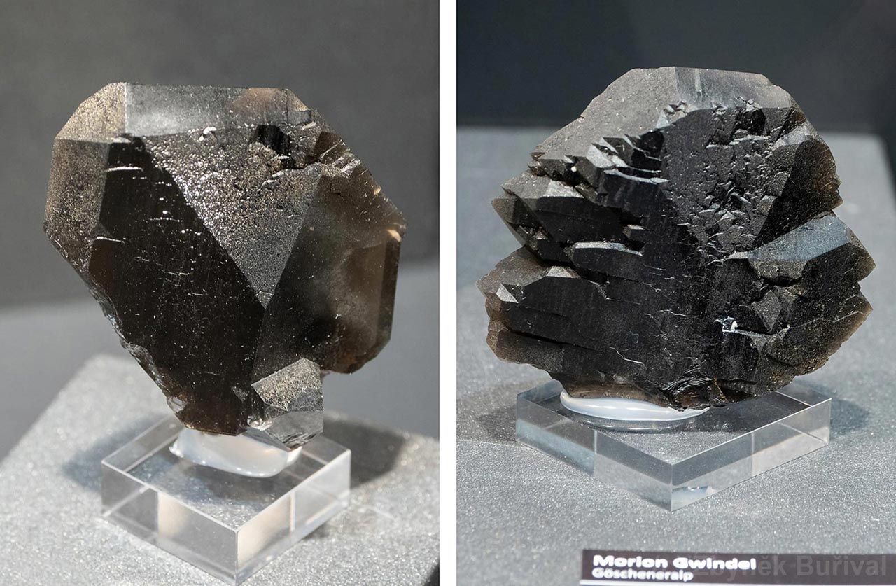 Unique morion black quartz gwindels from Göscheneralp, Switzerland