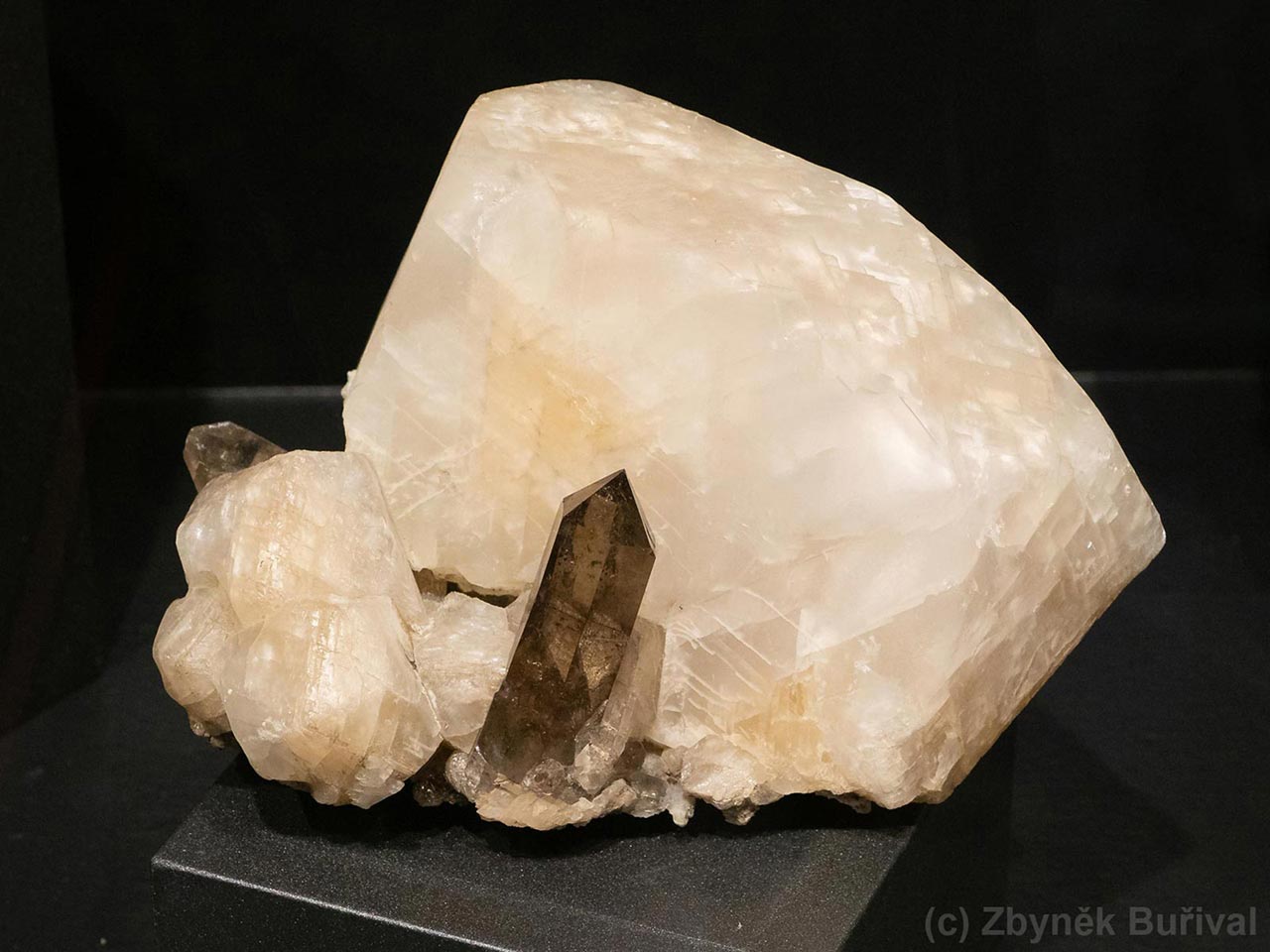 calcite crystal with smoky quartz from Schattigwichel, Switzerland
