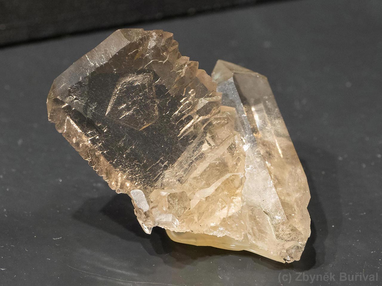 Semi-closed smoky quartz gwindel from Göscheneralp, Switzerland