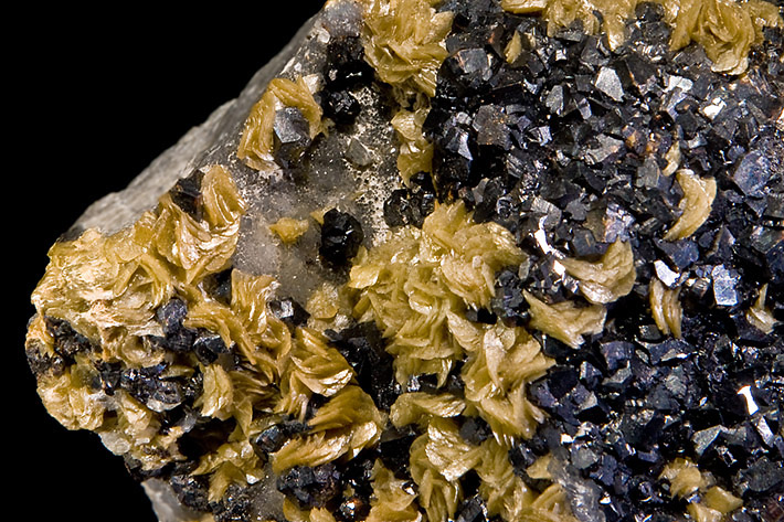 Curvend and flat pale brown siderite crystals with dark sphalerite from Rivet quarry, Peyrebrune, Midi-Pyrénées, France