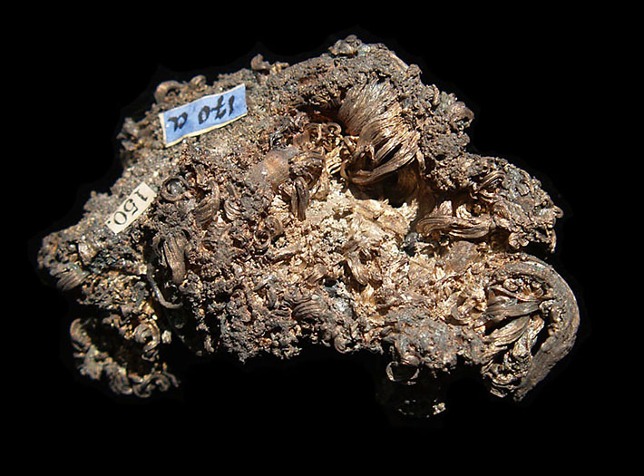 Aggregate of native silver wires from Kongsberg, Norway