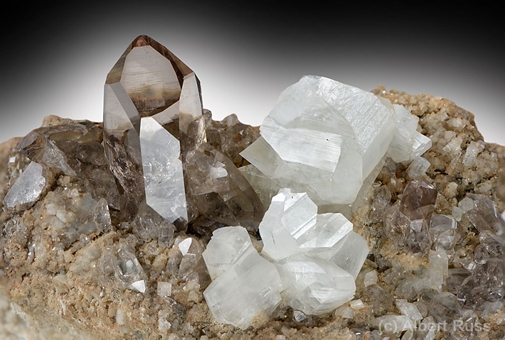 Cluster of gemmy smoky quartz and adularia feldspar from alpine cleft in Uri, Switzerland