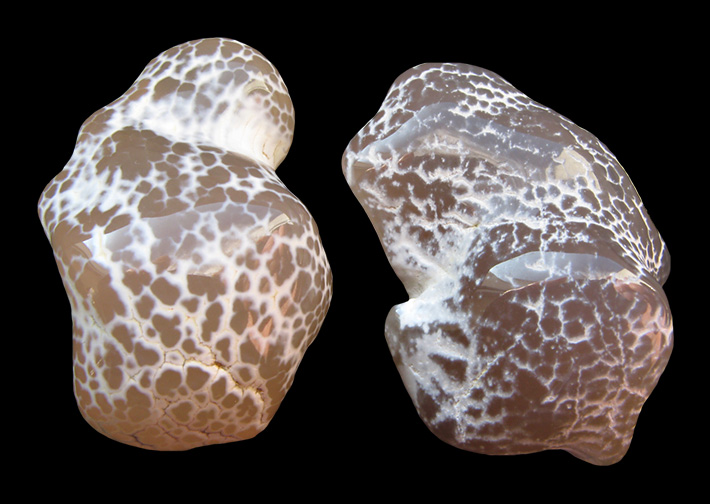 Snakeskin agate from Mexico