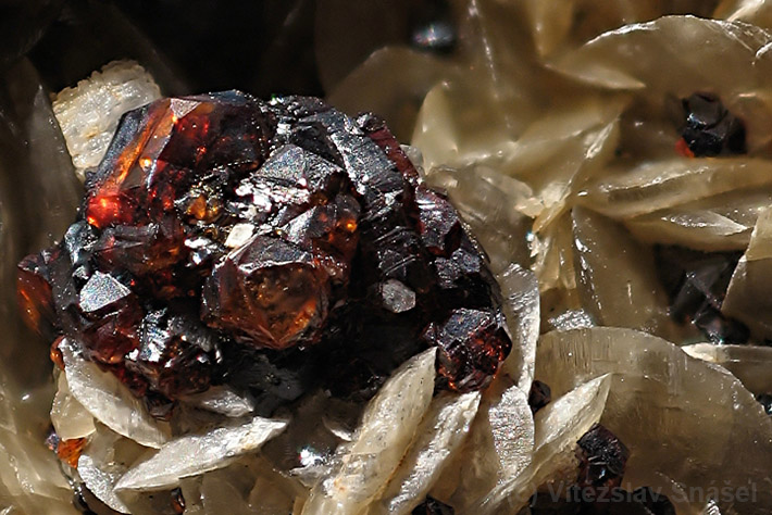 Red sphalerite crystals called ruby blende from Pribram, Czech Republic