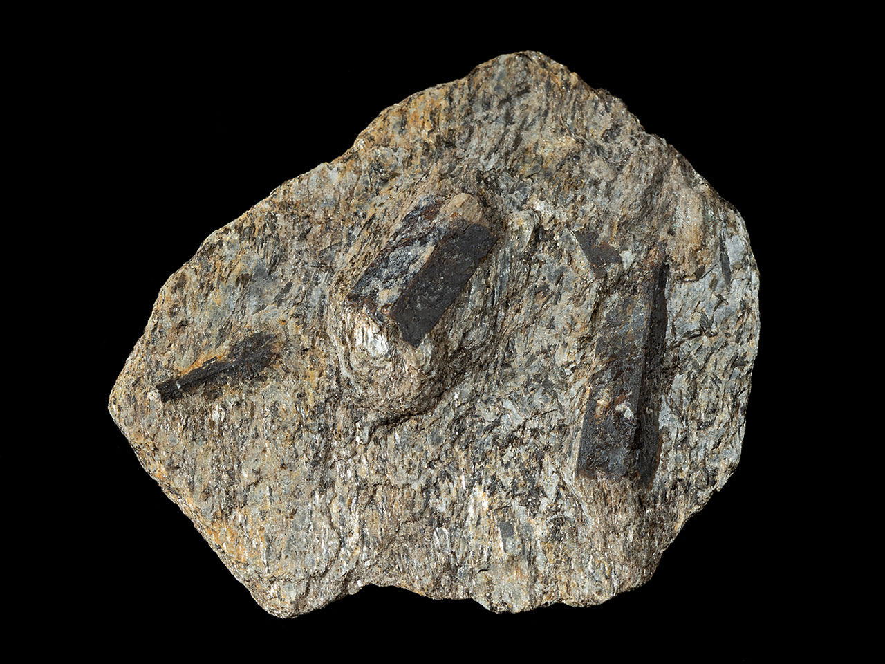 Non-twinned staurolite crystals in mica-schist from Ostružná, Czech Republic