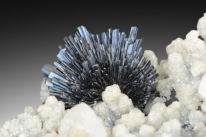 Fan of stibnite crystals on quartz from Romania