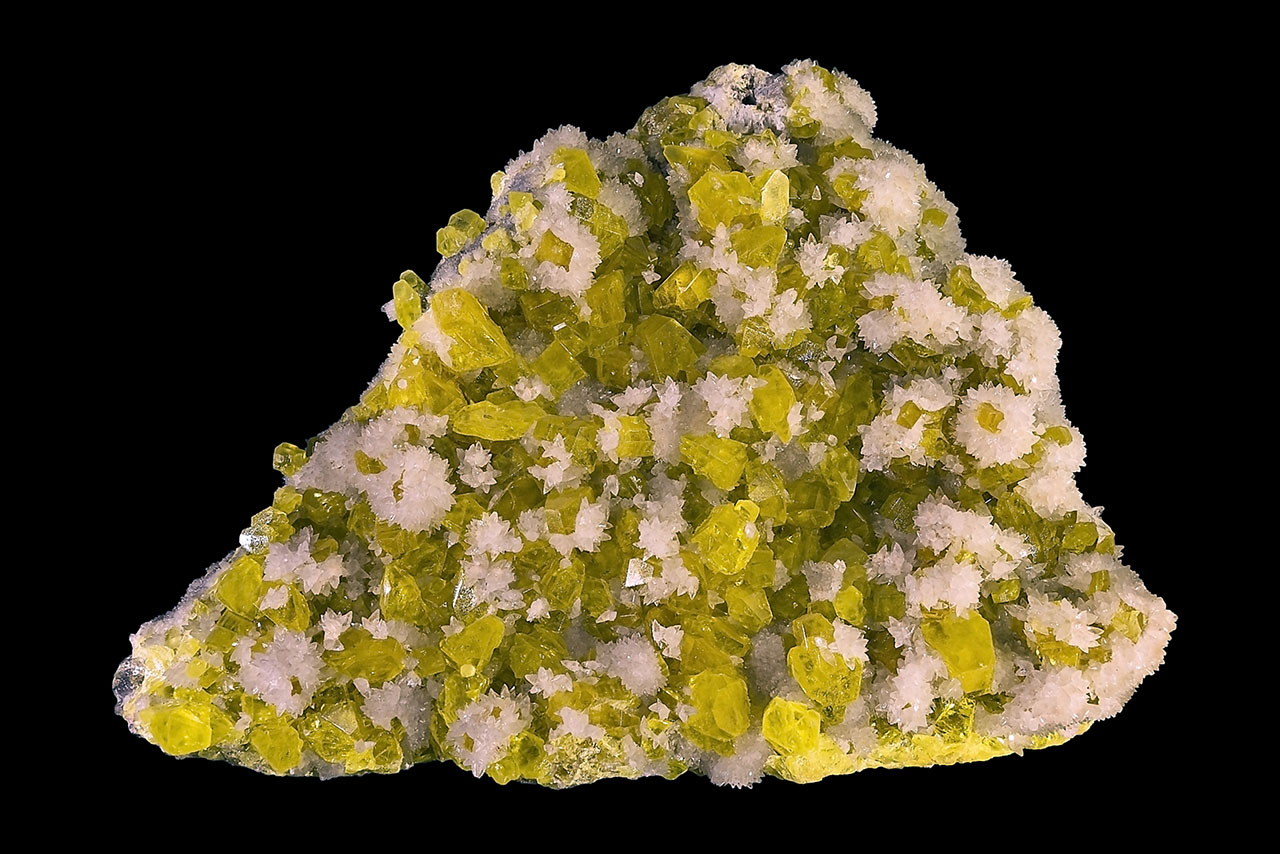 Big cluster of yellow sulphur crystals with white calcite from Agrigento (Girgenti), Sicily, Italy.