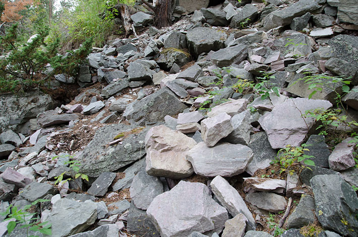 Dump bellow the Lia quarry with thulite boulders