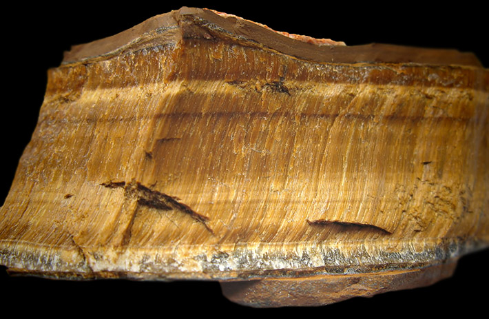 Sample of rough Tiger's Eye from South Africa