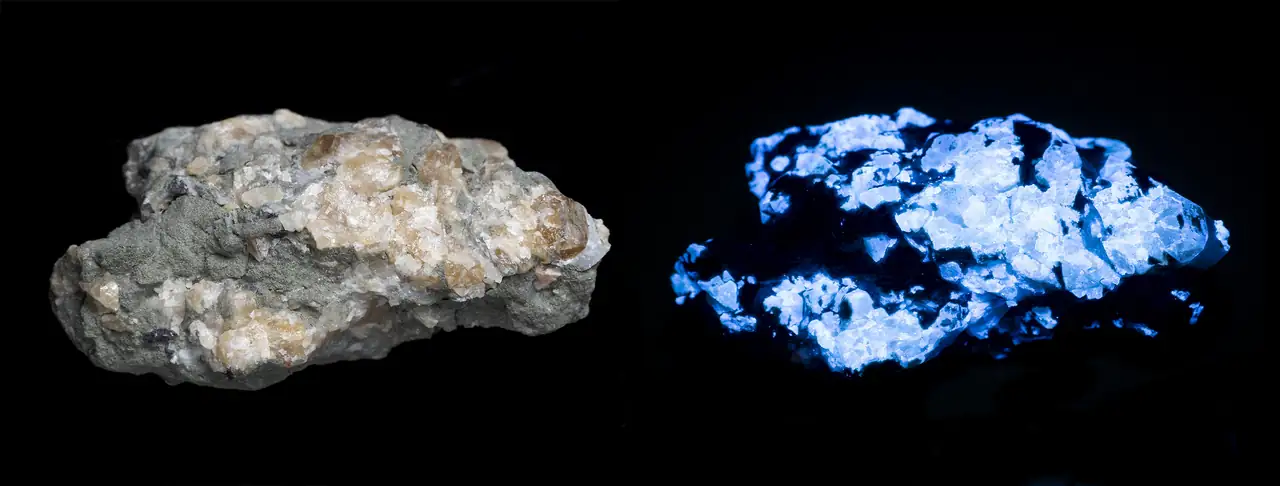 Scheelite with green chlorite from Pohled, Czech Republic in daylight and UV-C black light