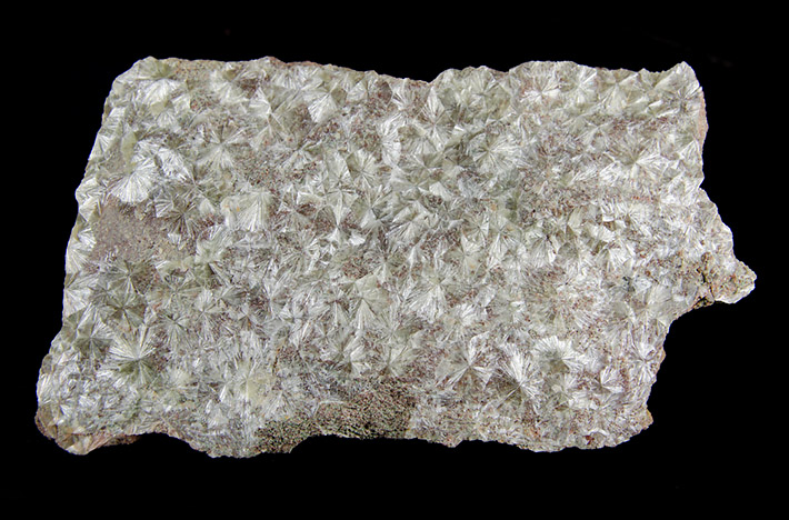 Radial aggregates of white wavellite from Trenice, Czech Republic