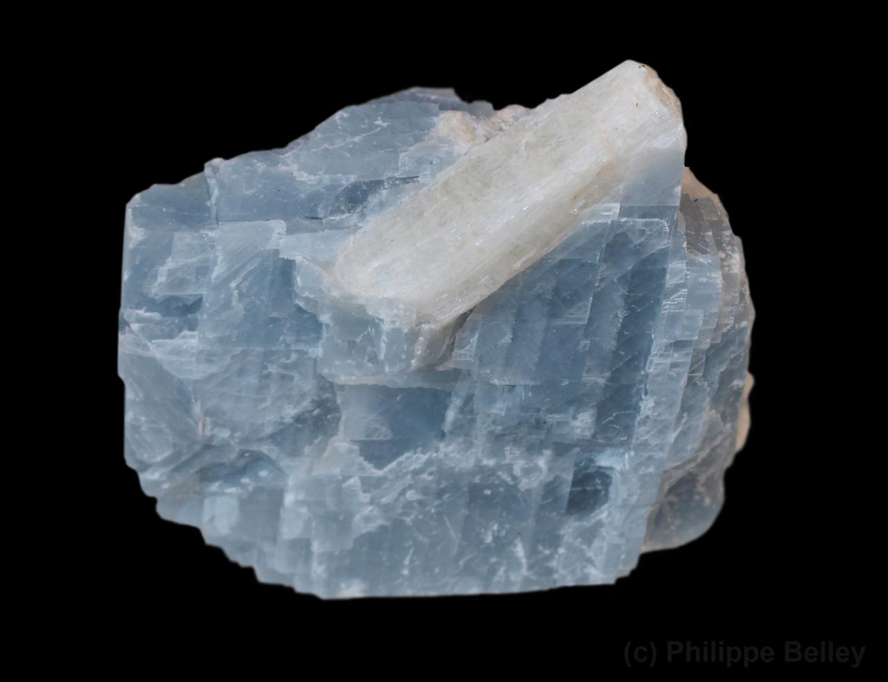 Euhedral wollastonite crystal on blue marble from Calumet, Grenville-sur-la-Rouge, Québec, Canada