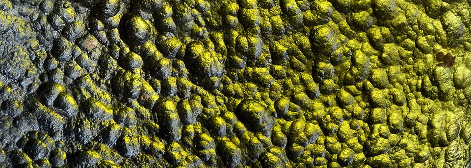 Moldavite – the Mysterious Tektite Origin, Properties and Occurence