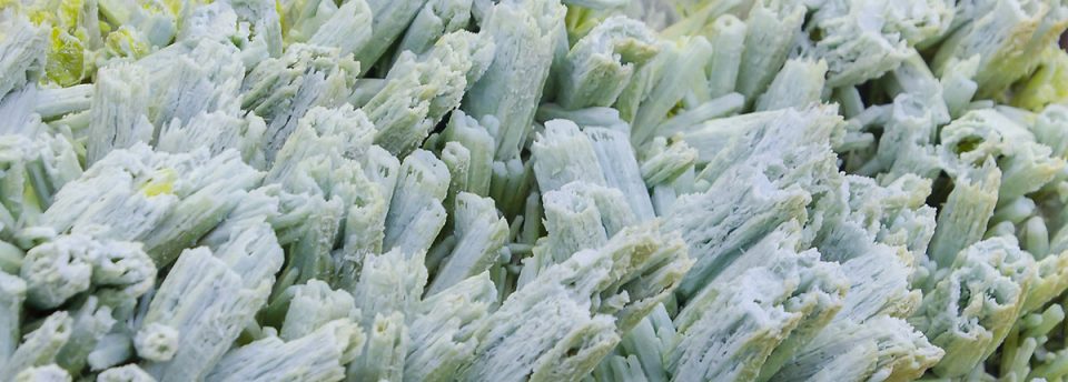 Report from Munich Mineral Show 2015