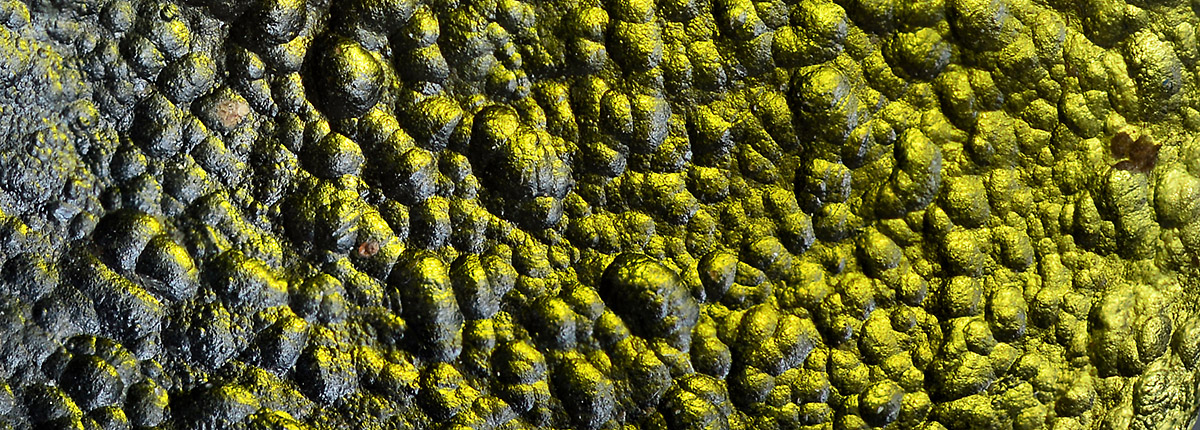 Moldavite – the Mysterious Tektite Origin, Properties and Occurence