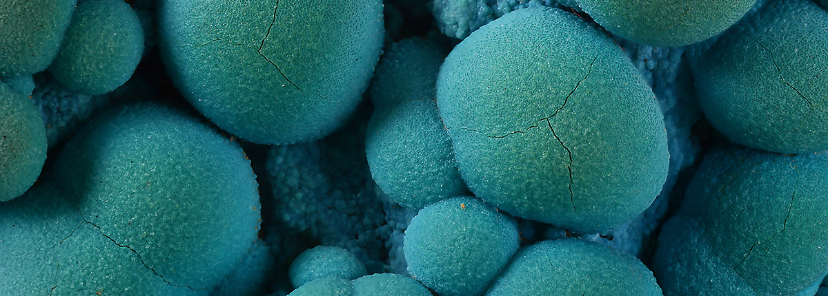 Chrysocolla - The Bright Blue-Green Copper Silicate
