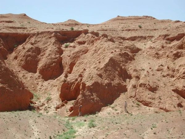 Mineral locality Bayan Dzag, Mongolia