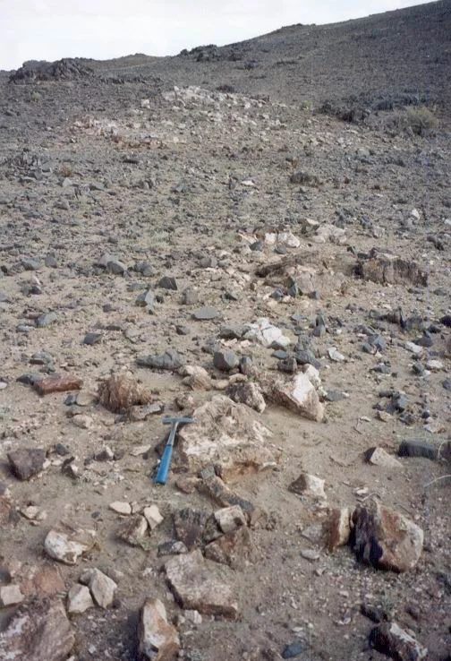 Mineral locality Bayan Khushu, Mongolia