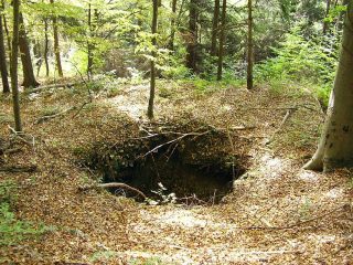 Borovec