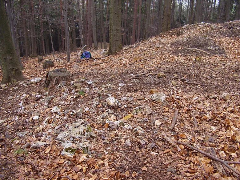 Mineral locality Borovec, Czech Republic