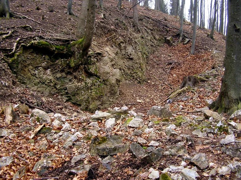 Mineral locality Borovec, Czech Republic