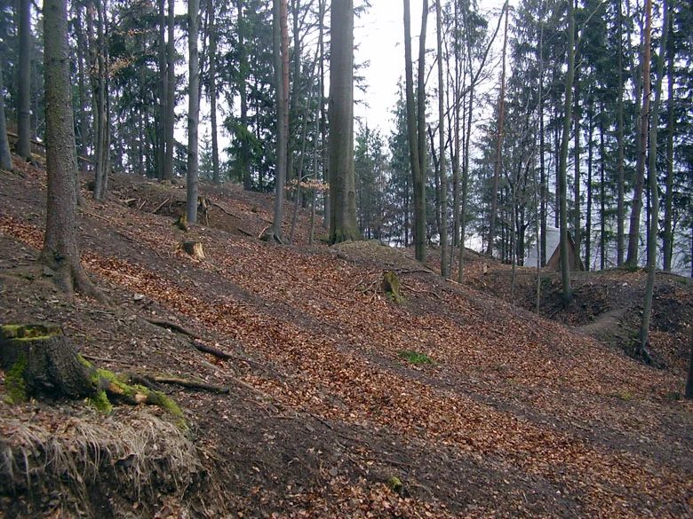 Mineral locality Borovec, Czech Republic