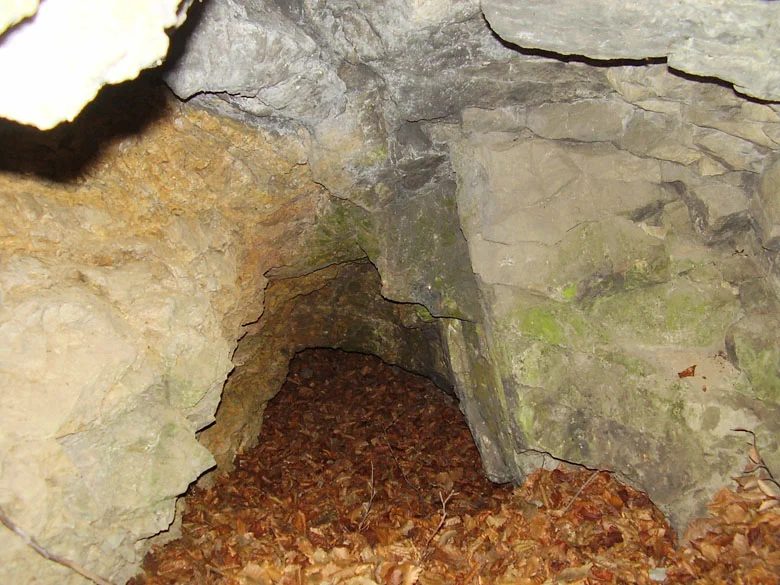 Mineral locality Borovec, Czech Republic