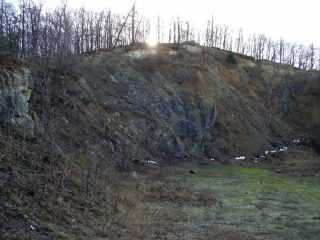 Brno, Kohoutovice