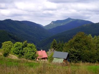 Čavoj
