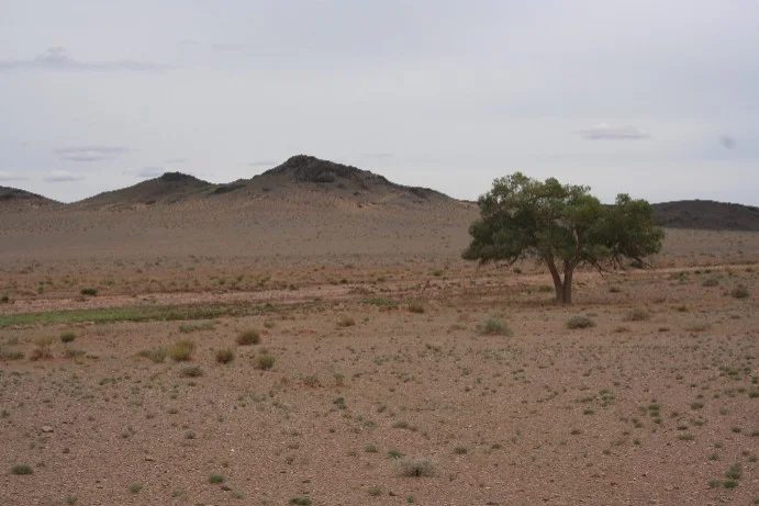 Mineral locality Chan Bogd, Mongolia