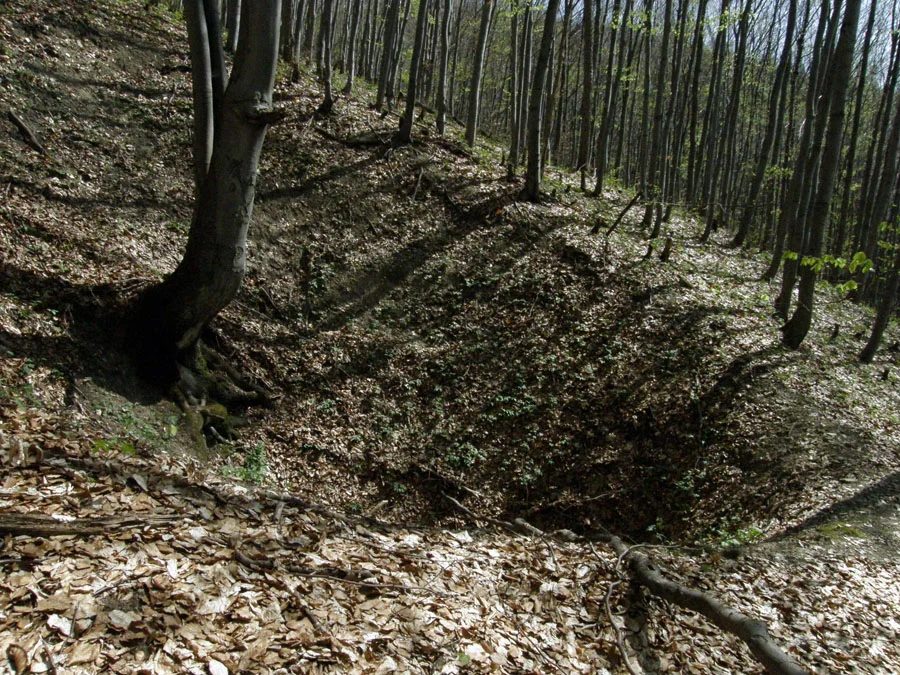 Mineral locality Chvojnica, Furststollen, Slovakia
