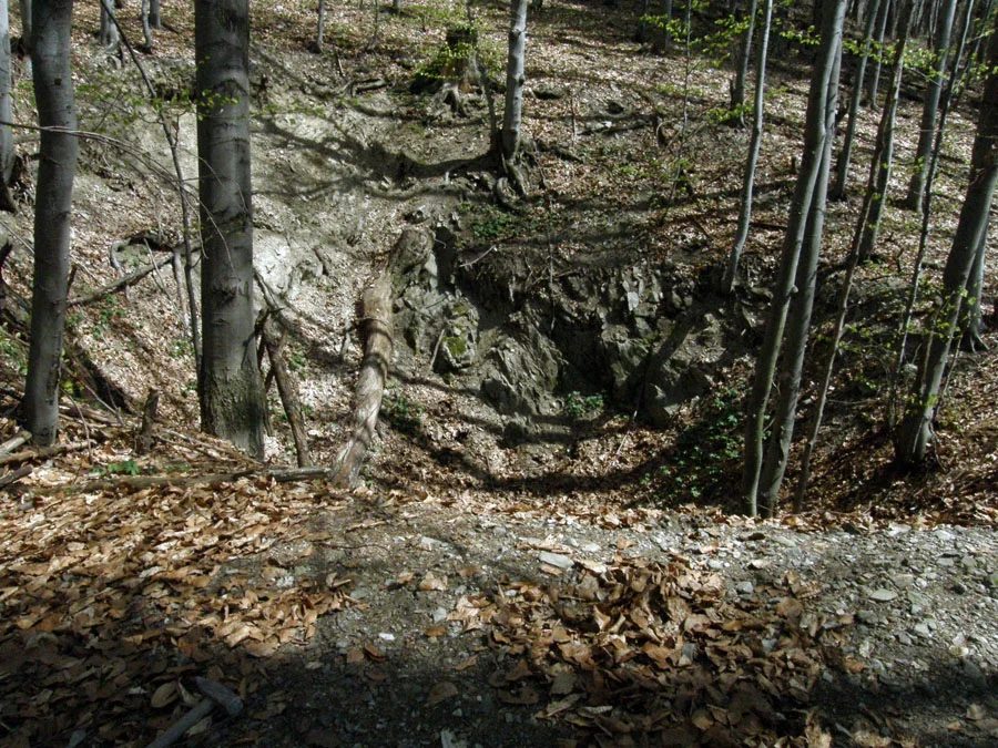 Mineral locality Chvojnica, Furststollen, Slovakia
