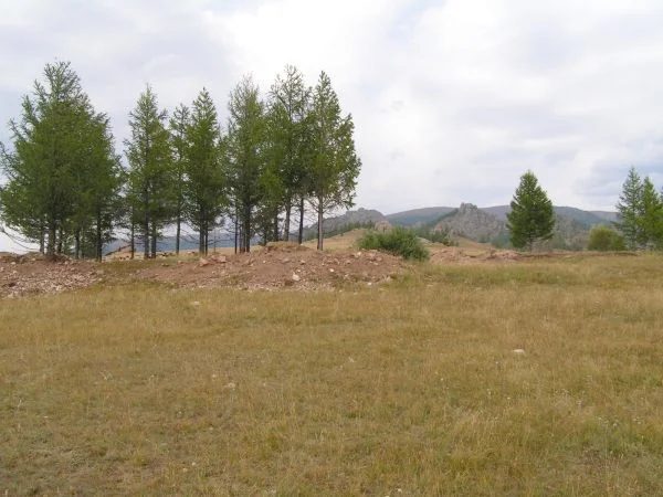 Mineral locality Dzunbayan 3, Mongolia