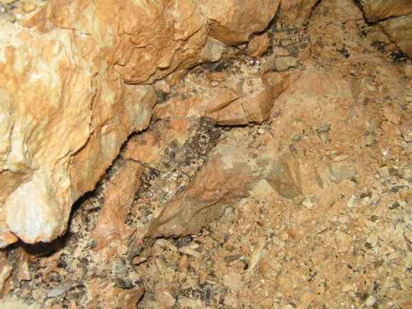 Mineral locality Dzunbayan 5, Mongolia