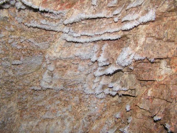 Mineral locality Dzunbayan 5, Mongolia