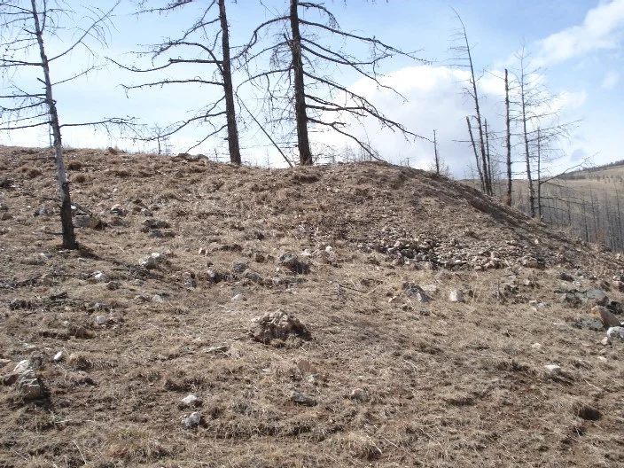 Mineral locality Gorkhi Massif, Mongolia