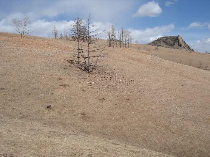 Mineral locality Gorkhi Massif, Mongolia