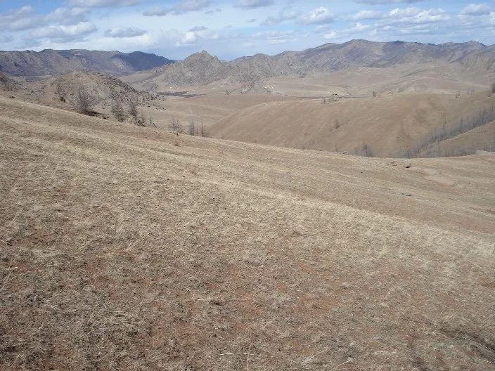 Mineral locality Gorkhi Massif, Mongolia