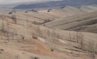 Gorkhi Massif