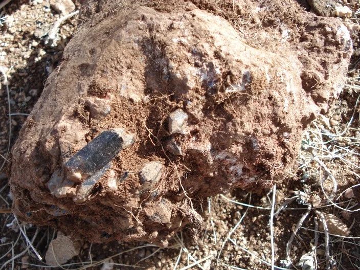 Mineral locality Gorkhi Massif, Mongolia