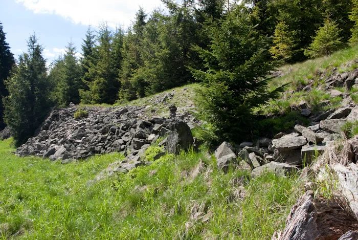 Mineral locality Háje, Krušné hory, průzkum UD u potoka Černá, Czech Republic